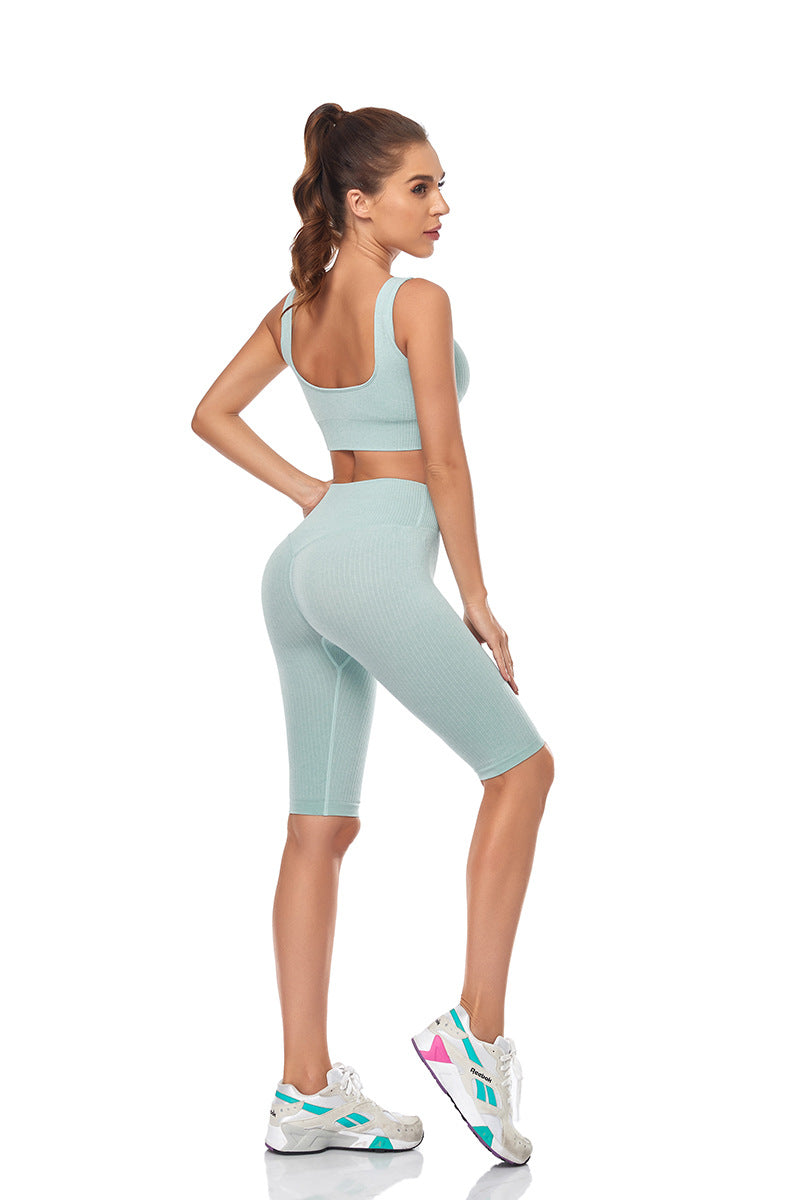 Seamless Women Yoga Set Sports Bra Sports Shorts Fitness Wear Outfit 2 Piece Gym Yoga Sets Workout Suits-2